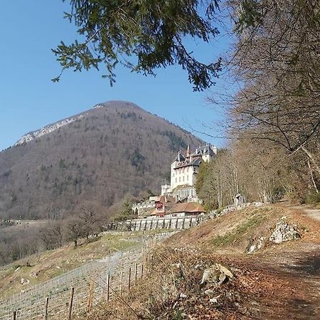 Charmant Appartement Lac D'Annecy / Ski - 6 Pers Мантон-Сен-Бернар Экстерьер фото