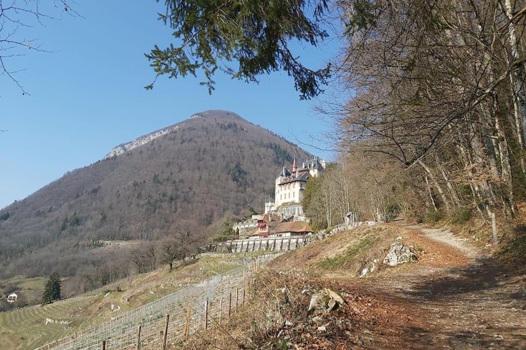 Charmant Appartement Lac D'Annecy / Ski - 6 Pers Мантон-Сен-Бернар Экстерьер фото